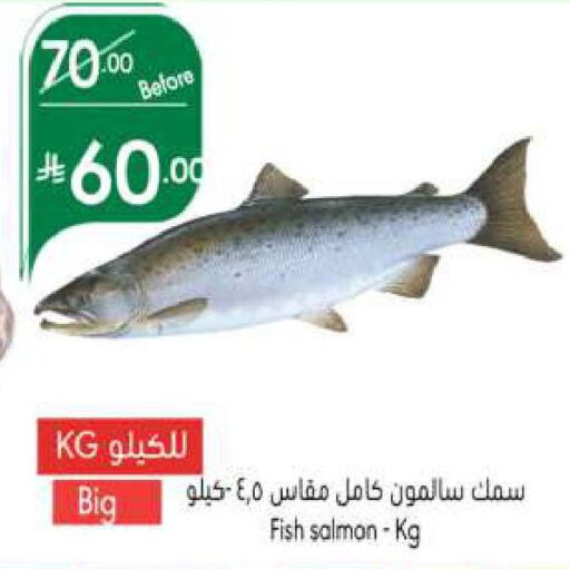 available at Manuel Market in KSA, Saudi Arabia, Saudi - Jeddah