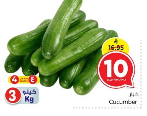 Cucumber from Saudi Arabia available at Nesto in KSA, Saudi Arabia, Saudi - Riyadh