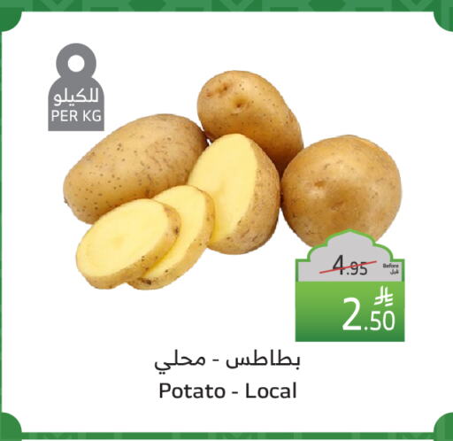 Potato available at Al Raya in KSA, Saudi Arabia, Saudi - Mecca