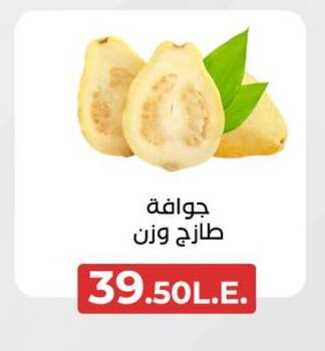 جوافة available at عرفة ماركت in Egypt - القاهرة