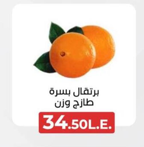 Orange available at Arafa Market in Egypt - Cairo