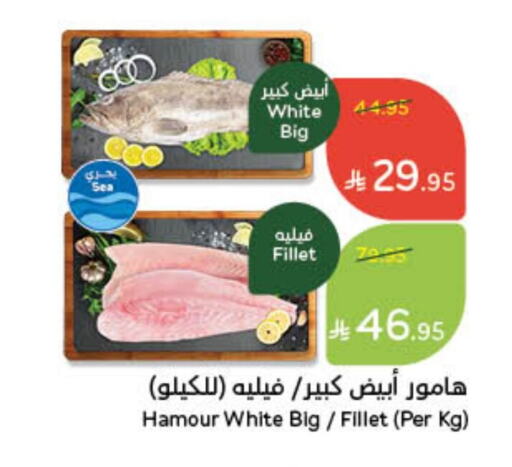 available at Hyper Panda in KSA, Saudi Arabia, Saudi - Wadi ad Dawasir