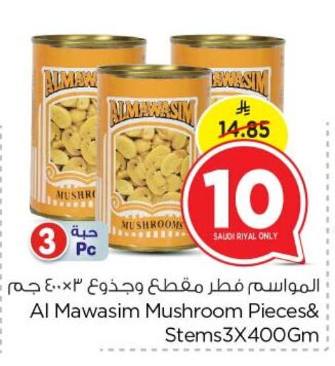 Mushroom available at نستو in مملكة العربية السعودية, السعودية, سعودية - الرياض