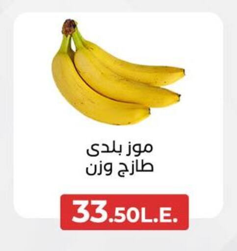 Banana available at Arafa Market in Egypt - Cairo