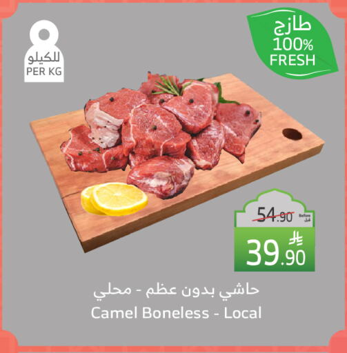 Camel meat available at Al Raya in KSA, Saudi Arabia, Saudi - Tabuk