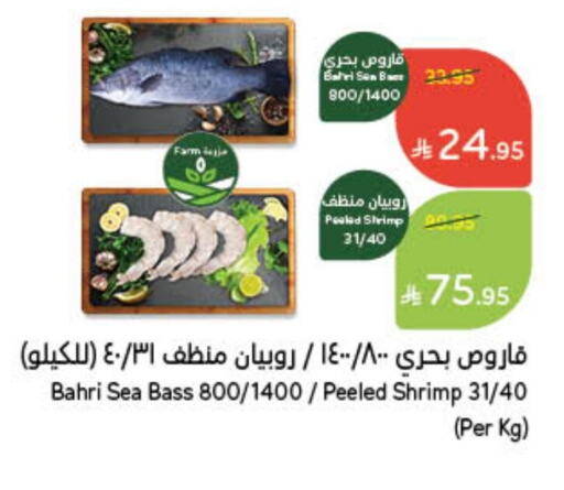 available at Hyper Panda in KSA, Saudi Arabia, Saudi - Hafar Al Batin