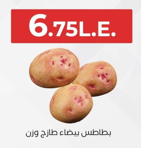 Potato available at Arafa Market in Egypt - Cairo