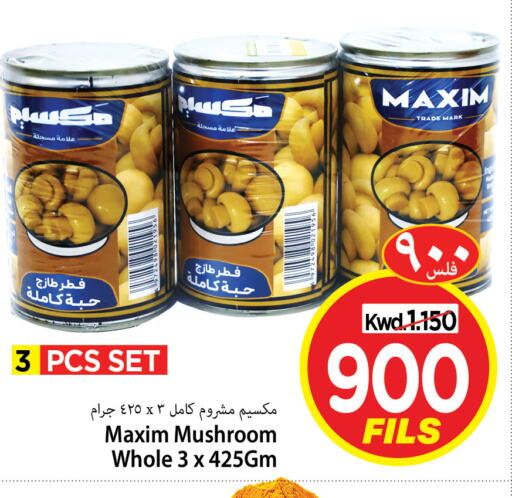 Mushroom available at Mark & Save in Kuwait - Kuwait City