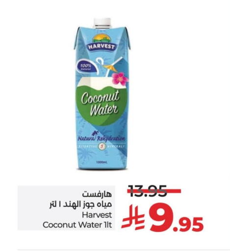 Coconut available at لولو هايبرماركت in مملكة العربية السعودية, السعودية, سعودية - الخبر‎