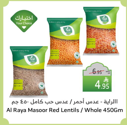 available at Al Raya in KSA, Saudi Arabia, Saudi - Jeddah