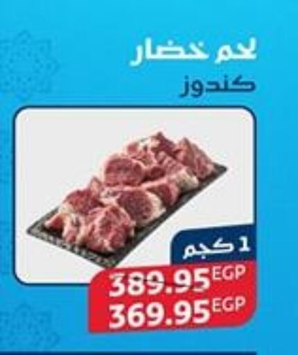 available at Exception Market in Egypt - Cairo