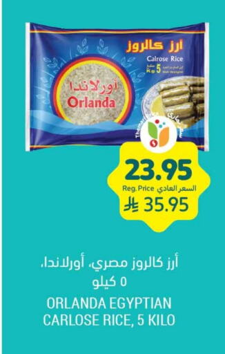 Orlanda Calrose Rice available at Tamimi Market in KSA, Saudi Arabia, Saudi - Al Hasa