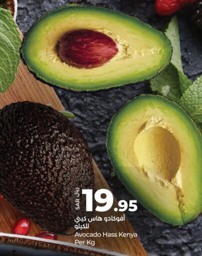 Avacado from Kenya available at LULU Hypermarket in KSA, Saudi Arabia, Saudi - Dammam