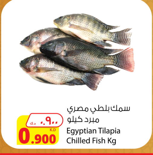 available at Agricultural Food Products Co. in Kuwait - Kuwait City