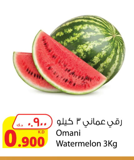 Watermelon from Oman available at Agricultural Food Products Co. in Kuwait - Kuwait City