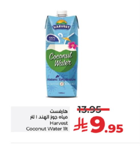 Coconut available at لولو هايبرماركت in مملكة العربية السعودية, السعودية, سعودية - تبوك