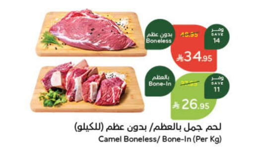 Camel meat available at Hyper Panda in KSA, Saudi Arabia, Saudi - Tabuk