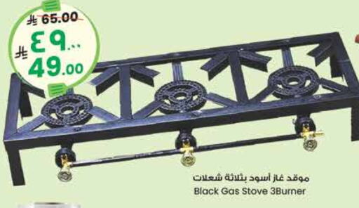 available at City Flower in KSA, Saudi Arabia, Saudi - Hail