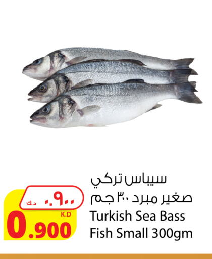 available at شركة المنتجات الزراعية الغذائية in الكويت - محافظة الأحمدي