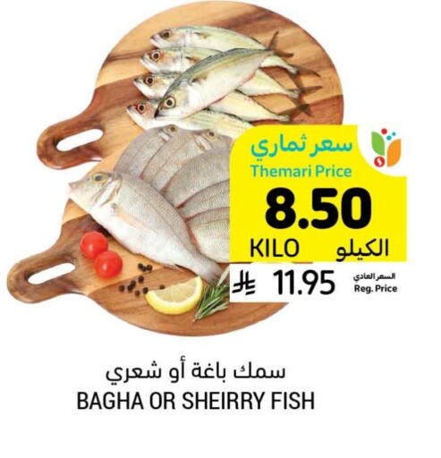 available at أسواق التميمي in مملكة العربية السعودية, السعودية, سعودية - الرس