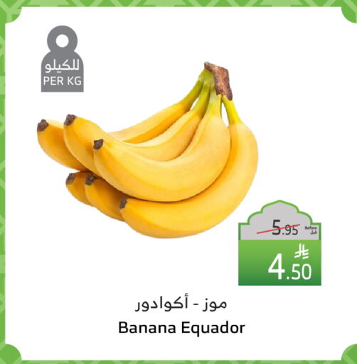 Banana available at Al Raya in KSA, Saudi Arabia, Saudi - Mecca