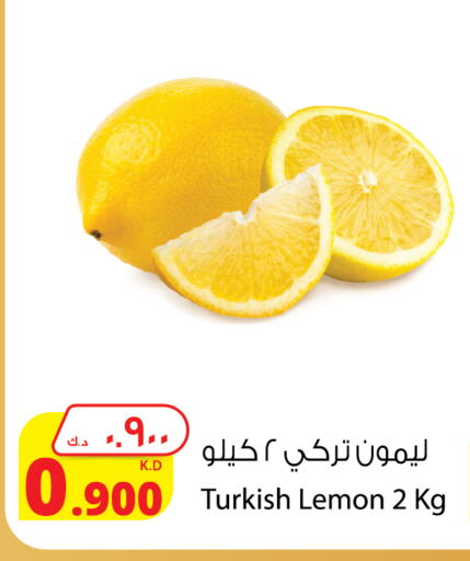 Lemon from Turkey available at Agricultural Food Products Co. in Kuwait - Kuwait City