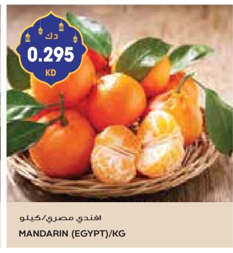 برتقال from Egypt available at جراند كوستو in الكويت - محافظة الأحمدي