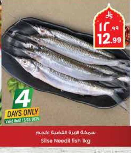 available at City Flower in KSA, Saudi Arabia, Saudi - Riyadh