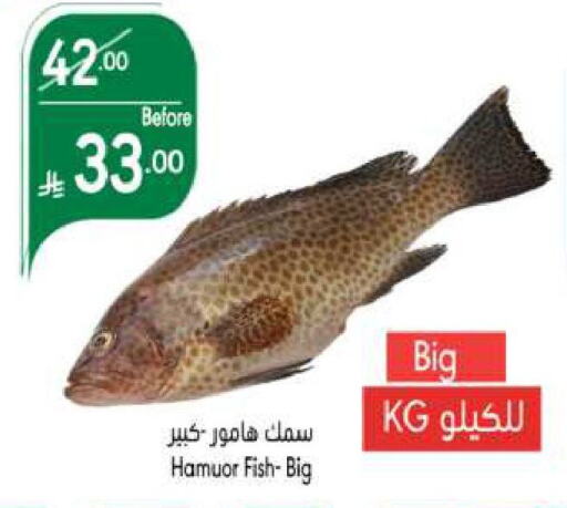 available at Manuel Market in KSA, Saudi Arabia, Saudi - Jeddah