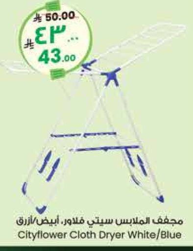 Dryer Stand available at City Flower in KSA, Saudi Arabia, Saudi - Hail