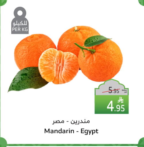 Orange from Egypt available at Al Raya in KSA, Saudi Arabia, Saudi - Bishah