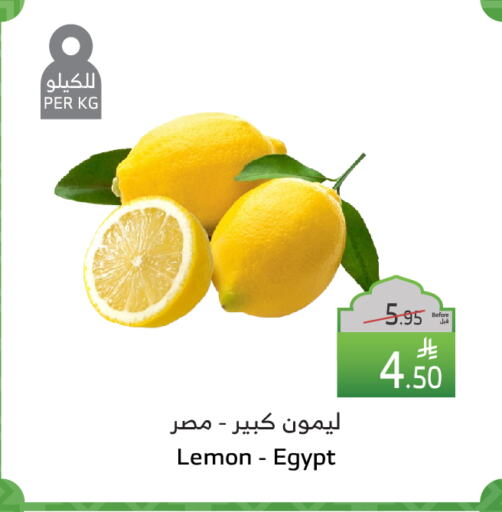 lemon from Egypt available at Al Raya in KSA, Saudi Arabia, Saudi - Bishah