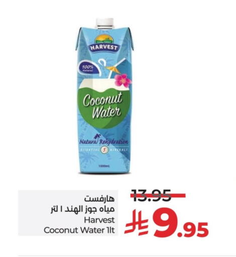 Coconut available at لولو هايبرماركت in مملكة العربية السعودية, السعودية, سعودية - حائل‎