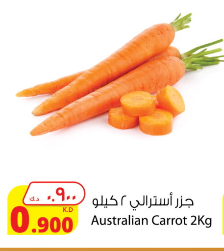 Carrot from Australia available at Agricultural Food Products Co. in Kuwait - Jahra Governorate