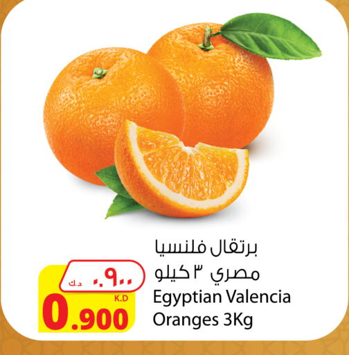 Orange from Egypt available at Agricultural Food Products Co. in Kuwait - Jahra Governorate