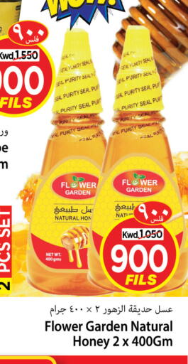 Honey available at Mark & Save in Kuwait - Kuwait City