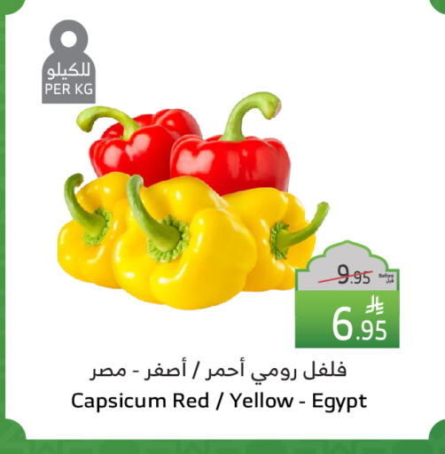 Chilli / Capsicum from Egypt available at Al Raya in KSA, Saudi Arabia, Saudi - Medina