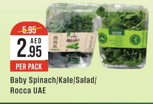 Spinach Kale available at ويست زون سوبرماركت in الإمارات العربية المتحدة , الامارات - دبي