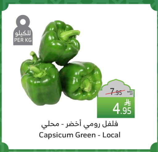 Chilli / Capsicum available at Al Raya in KSA, Saudi Arabia, Saudi - Al Qunfudhah