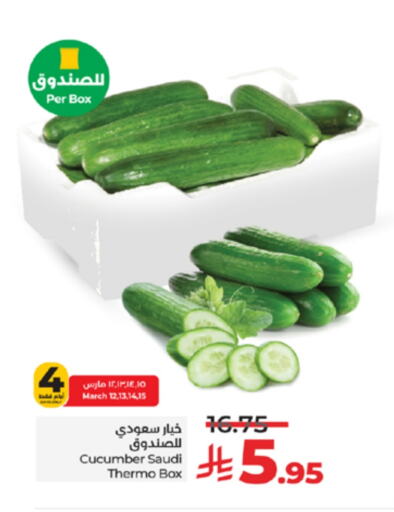 Cucumber from Saudi Arabia available at LULU Hypermarket in KSA, Saudi Arabia, Saudi - Jeddah