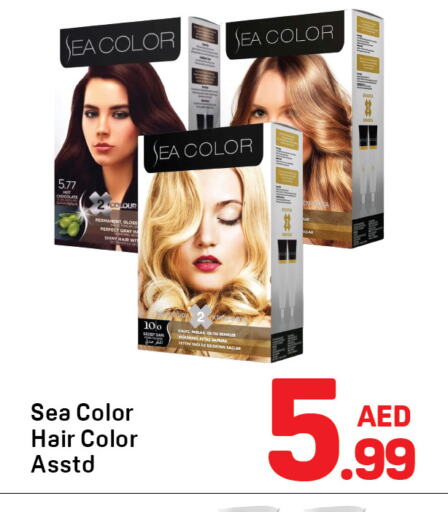 Hair Colour available at Day to Day Department Store in UAE - Dubai