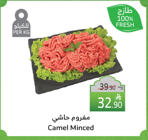 available at Al Raya in KSA, Saudi Arabia, Saudi - Medina