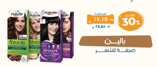 PALETTE available at United Pharmacies in KSA, Saudi Arabia, Saudi - Al Bahah