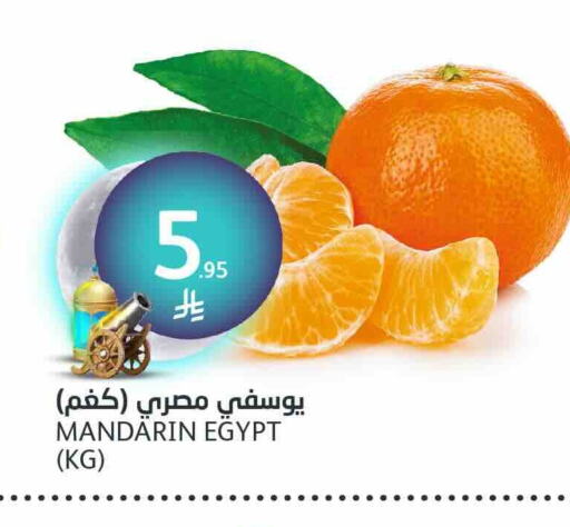 برتقال from Egypt available at مركز الجزيرة للتسوق in مملكة العربية السعودية, السعودية, سعودية - الرياض