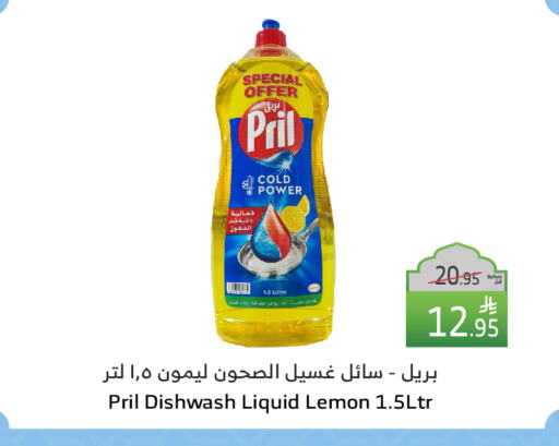 PRIL Dishwasher available at Al Raya in KSA, Saudi Arabia, Saudi - Mecca