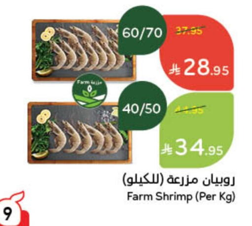 available at Hyper Panda in KSA, Saudi Arabia, Saudi - Hafar Al Batin