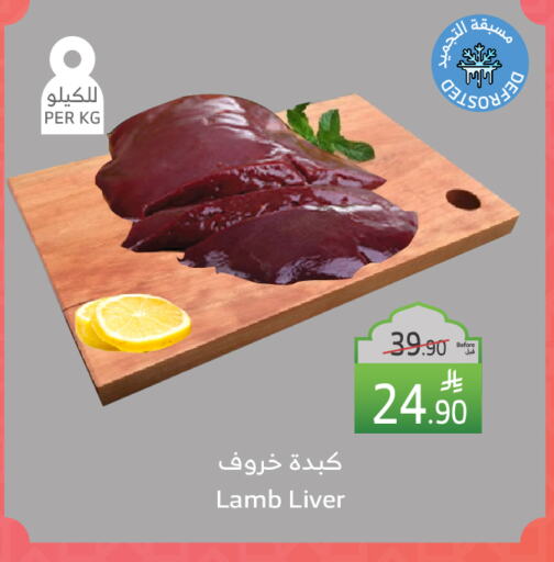 لحم الضأن / الغنم available at الراية in مملكة العربية السعودية, السعودية, سعودية - المدينة المنورة