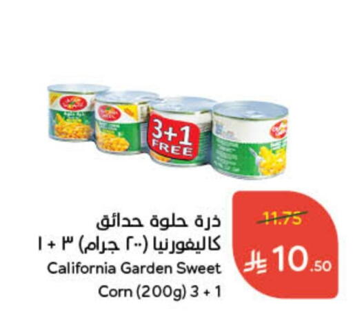 كاليفورنيا جاردن available at هايبر بنده in مملكة العربية السعودية, السعودية, سعودية - عنيزة