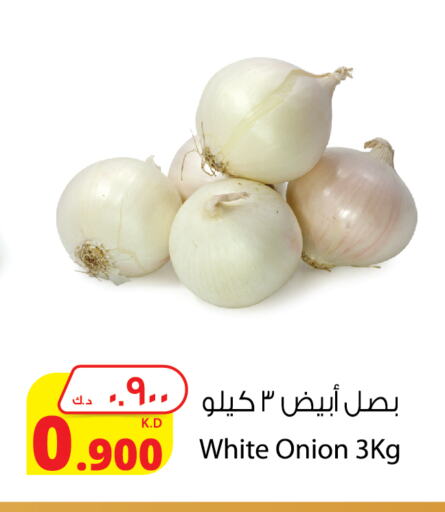 White Onion available at Agricultural Food Products Co. in Kuwait - Jahra Governorate