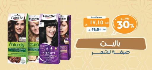 PALETTE Hair Colour available at United Pharmacies in KSA, Saudi Arabia, Saudi - Riyadh